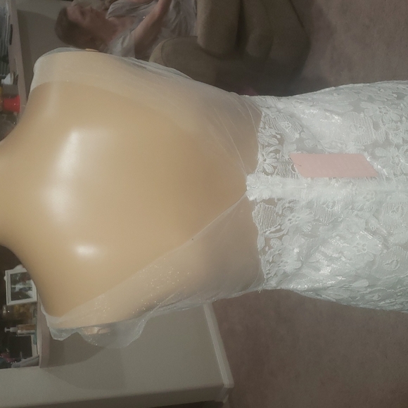 Delicately feminine lace & mesh fitted mini dress semi sheer - Picture 6 of 8